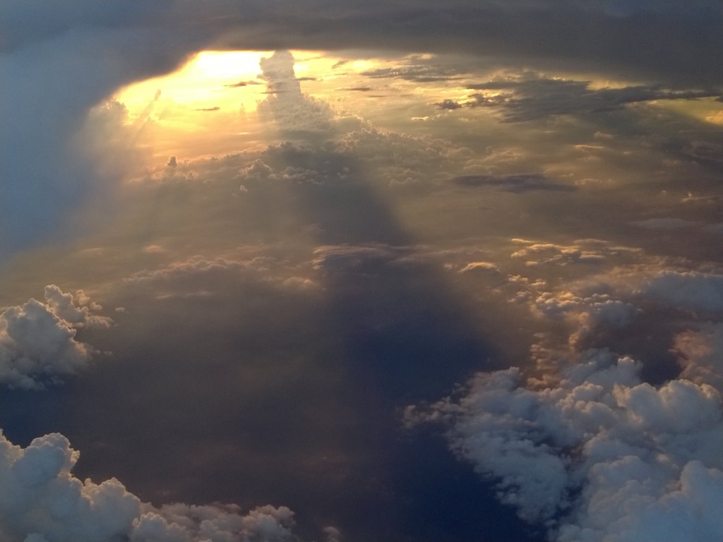 The Reason For&nbsp;Evolution