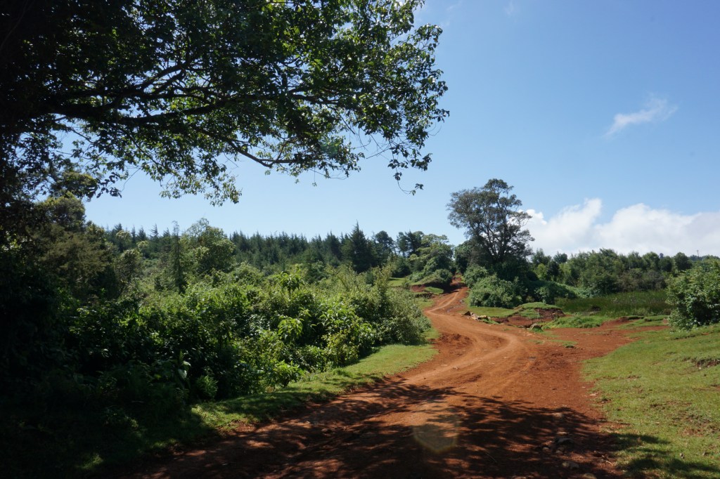 Rosberg X Racing are Extreme E&nbsp;Champions