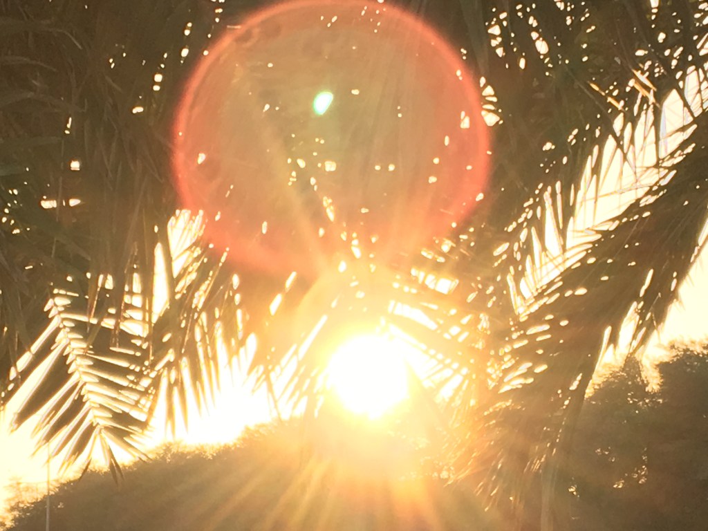 Coincidences Vs Causality