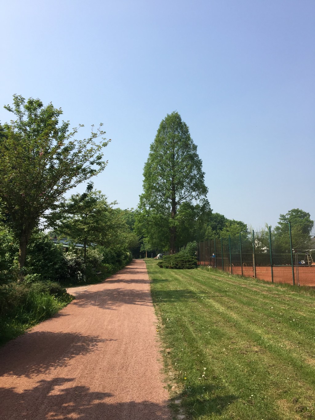 Roger Federer to&nbsp;Retire