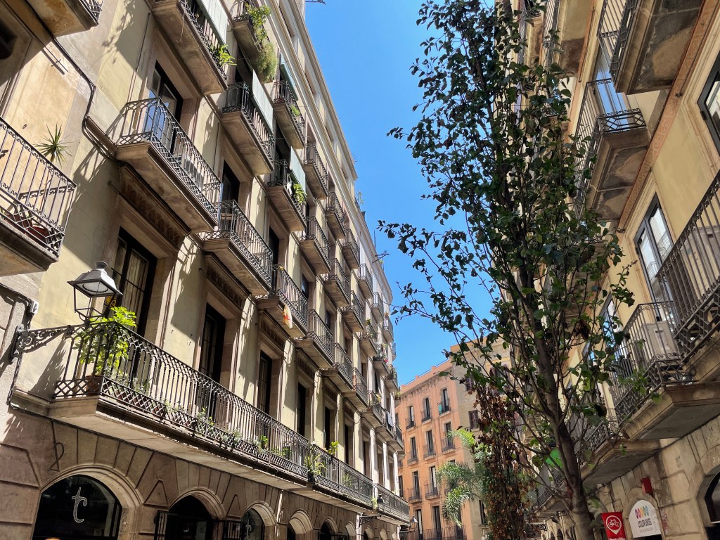 Spain are World&nbsp;Champions